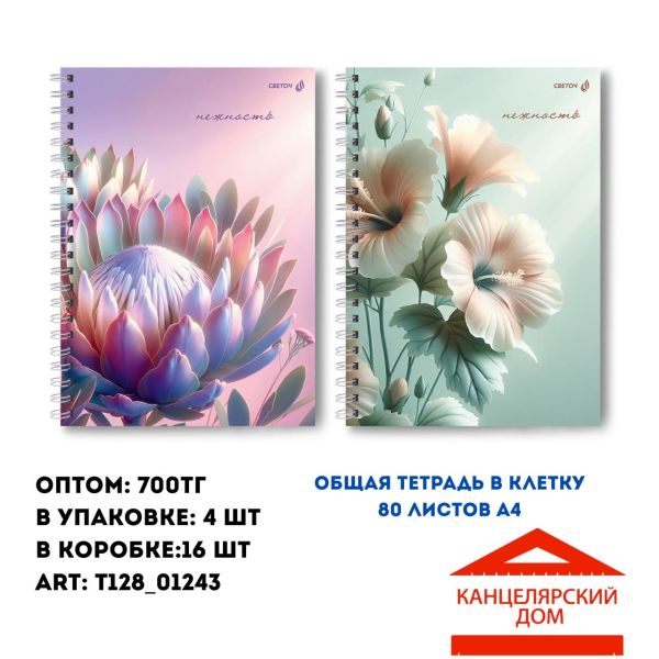 Общая тетрадь на спирали 80 листов А4