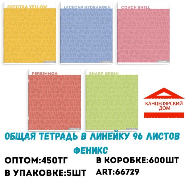 Общая тетрадь в линейку 96 л