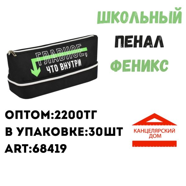 Школьный пенал феникс