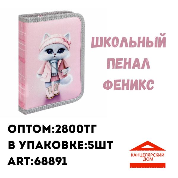 Школьный пенал феникс
