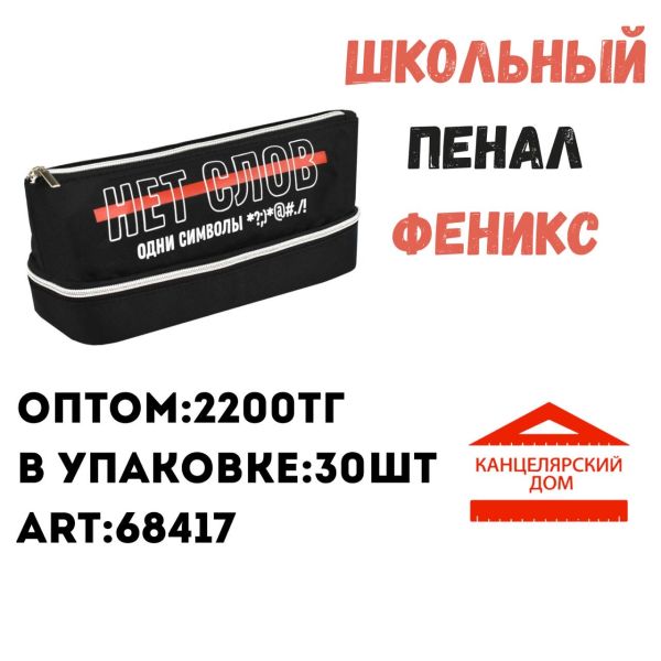 Школьный пенал феникс