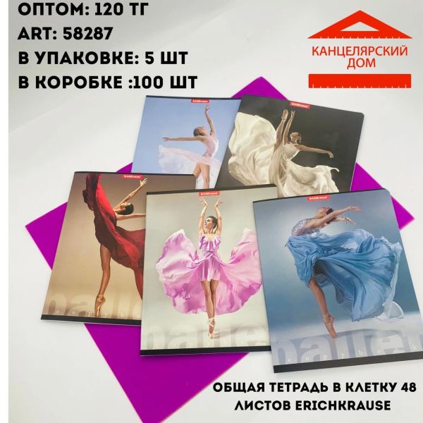 Общая тетрадь в клетку 48 листов erichkrause 