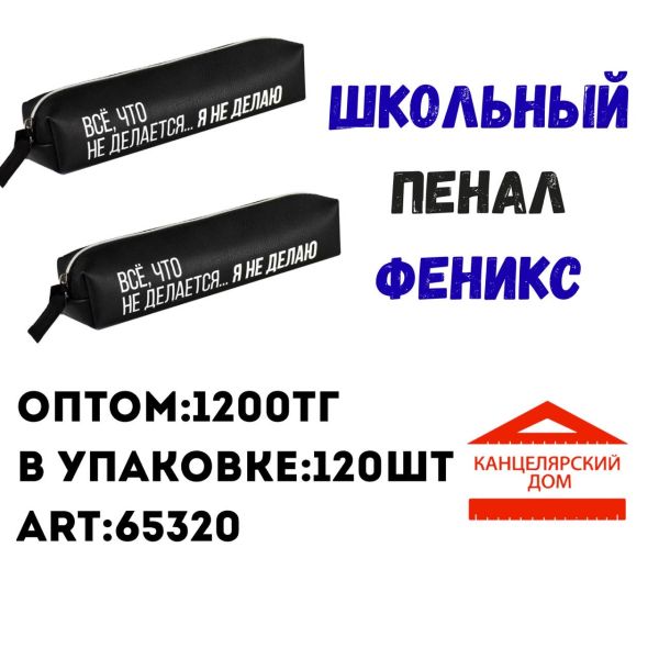 Школьный пенал феникс