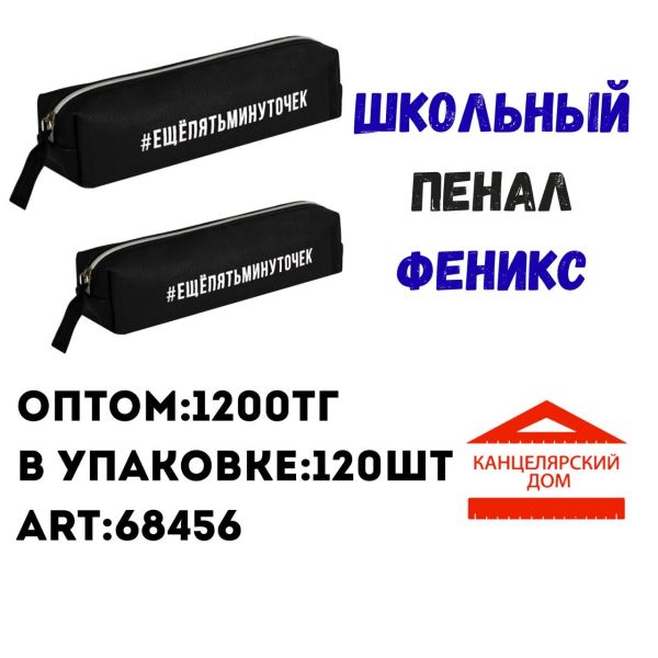 Школьный пенал феникс 