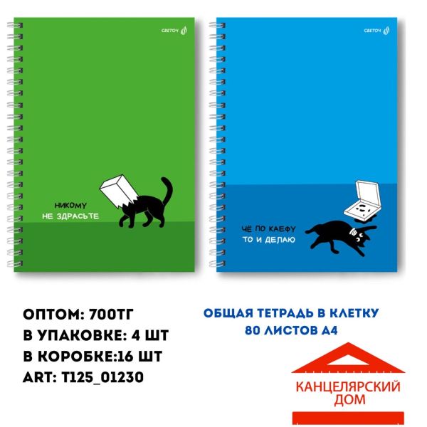 Общая тетрадь на спирали 80 листов А4