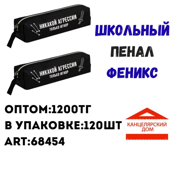 Школьный пенал феникс