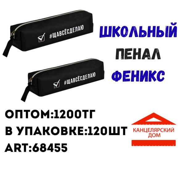 Школьный пенал Феникс