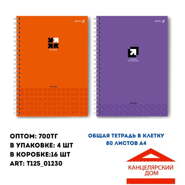 Общая тетрадь на спирали 80 листов А4