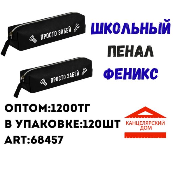 Школьный пенал феникс