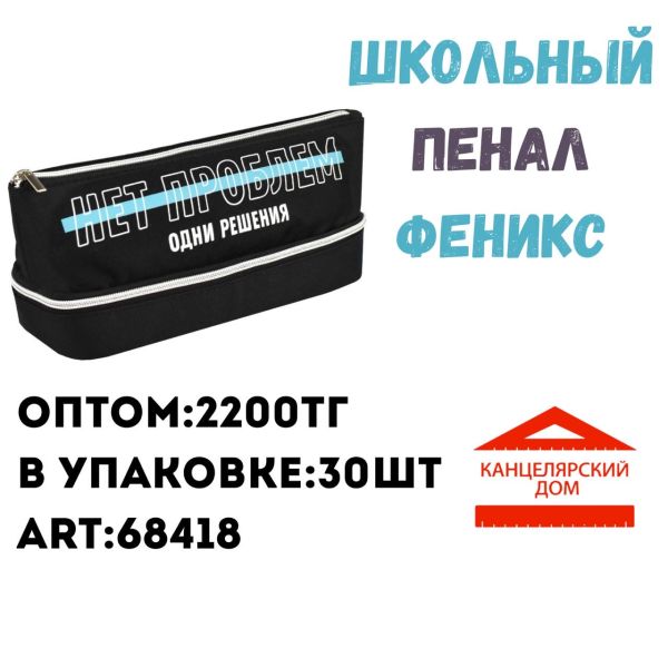 Школьный пенал феникс