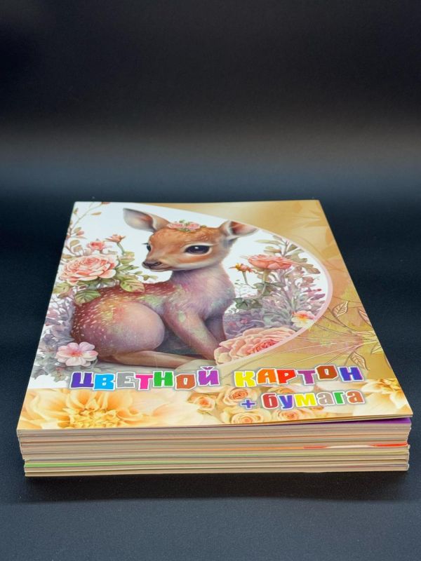 Цветной картон + бумага