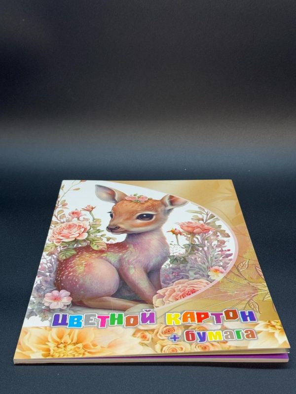 Цветной картон + бумага