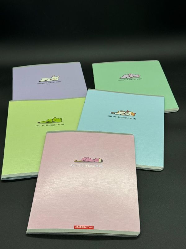 Тетрадь 48л клетка Academystyle 13066/5 в коробке 60шт