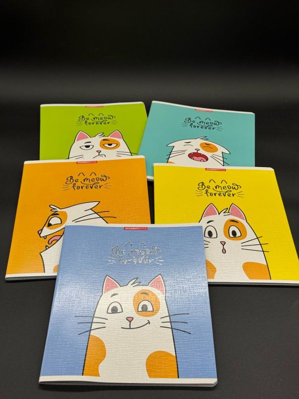 Тетрадь 48л клетка Academystyle 14083/5 в коробке 60шт