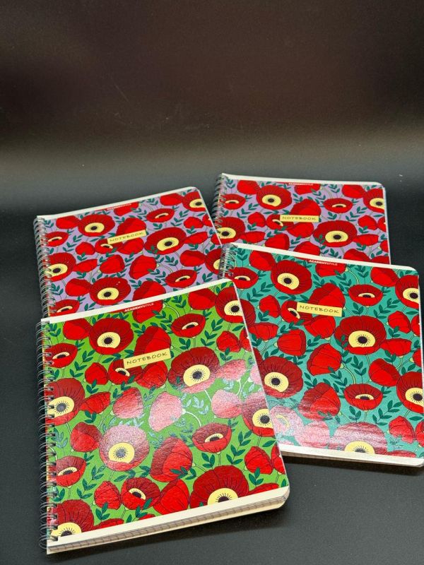 Тетрадь 80л клетка на пружине Academystyle в коробке 60шт