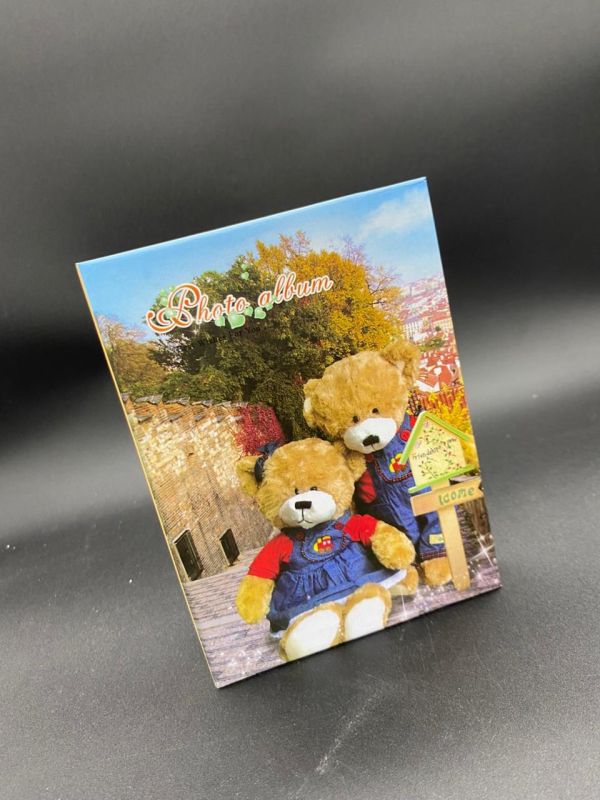 Фота альбом 4*6 на 100фота