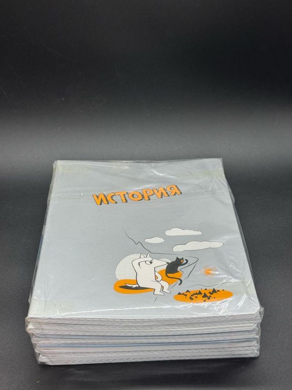 Комплект тетрадей 10 предметов