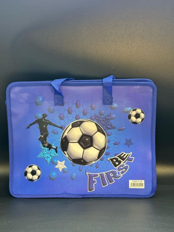 Папка для труда ZY6011-24 в упаковке 12шт, 12 видов